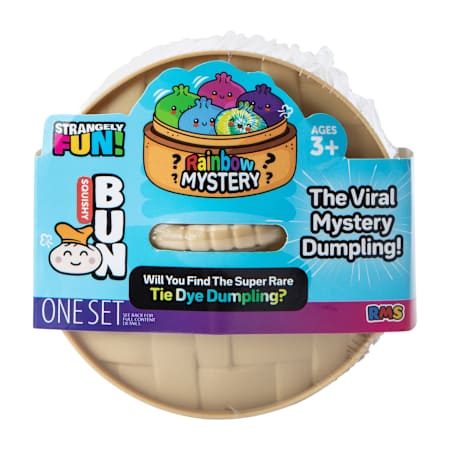 Rainbow Mystery Squishy Bun Set (Styles May Vary)