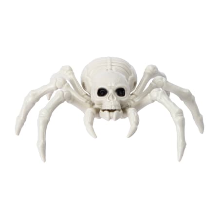 Halloween Skeleton Spider Décor