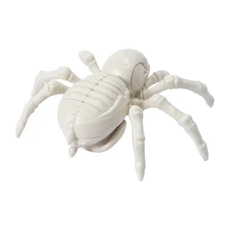 Halloween Skeleton Spider Décor