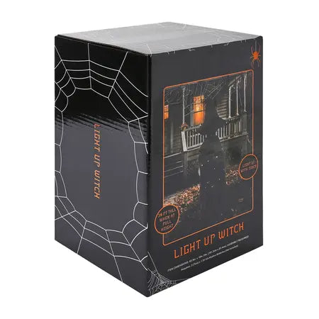 Angled package view of the black light-up Halloween witch with spiderweb graphics on the box sold by LFG Energy Club.