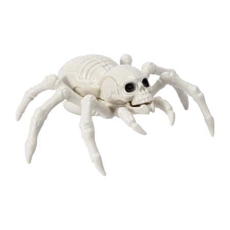 Halloween Skeleton Spider Décor