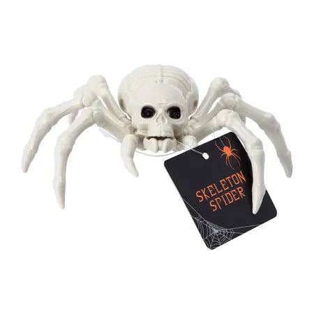 Halloween Skeleton Spider Décor