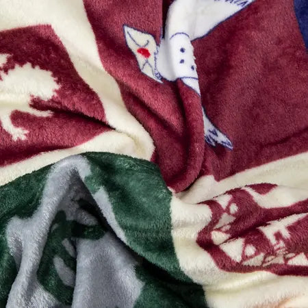 Harry Potter™ Silk Touch Throw 50inx60in