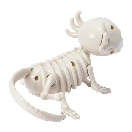ear-angle view of the white skeleton axolotl decoration showing its rounded head, ribs and long tail sold by LFG Energy Club.